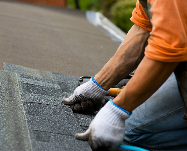 Best Roof Gutter Cleaning  in Redland, AL